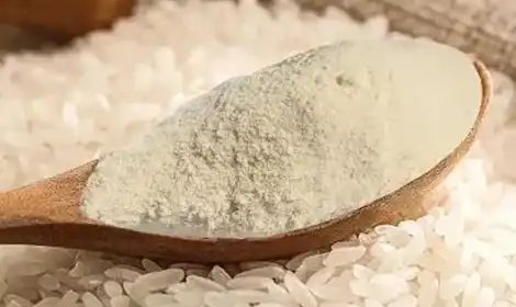 What Does Hydrolyzed Rice Protein Powder Do?